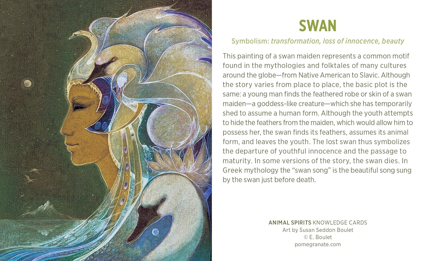 Animal Spirits Knowledge Cards