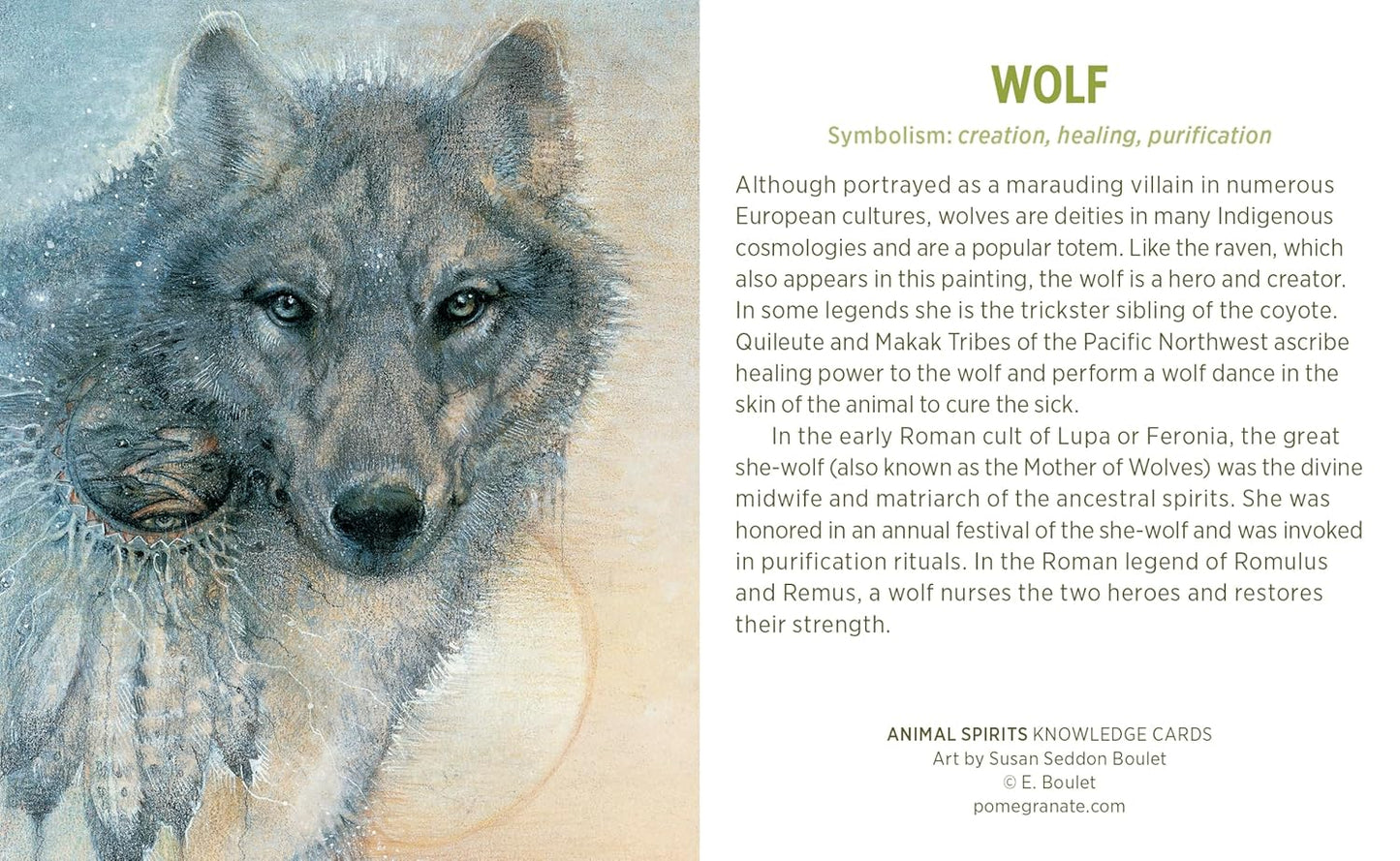 Animal Spirits Knowledge Cards