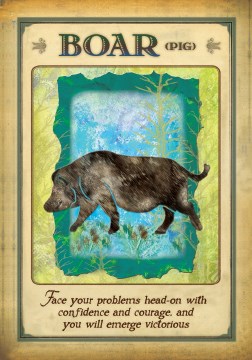 Messages From Your Animal Spirit Guides Oracle Cards