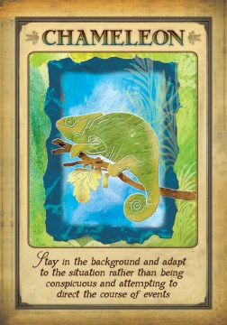 Messages From Your Animal Spirit Guides Oracle Cards