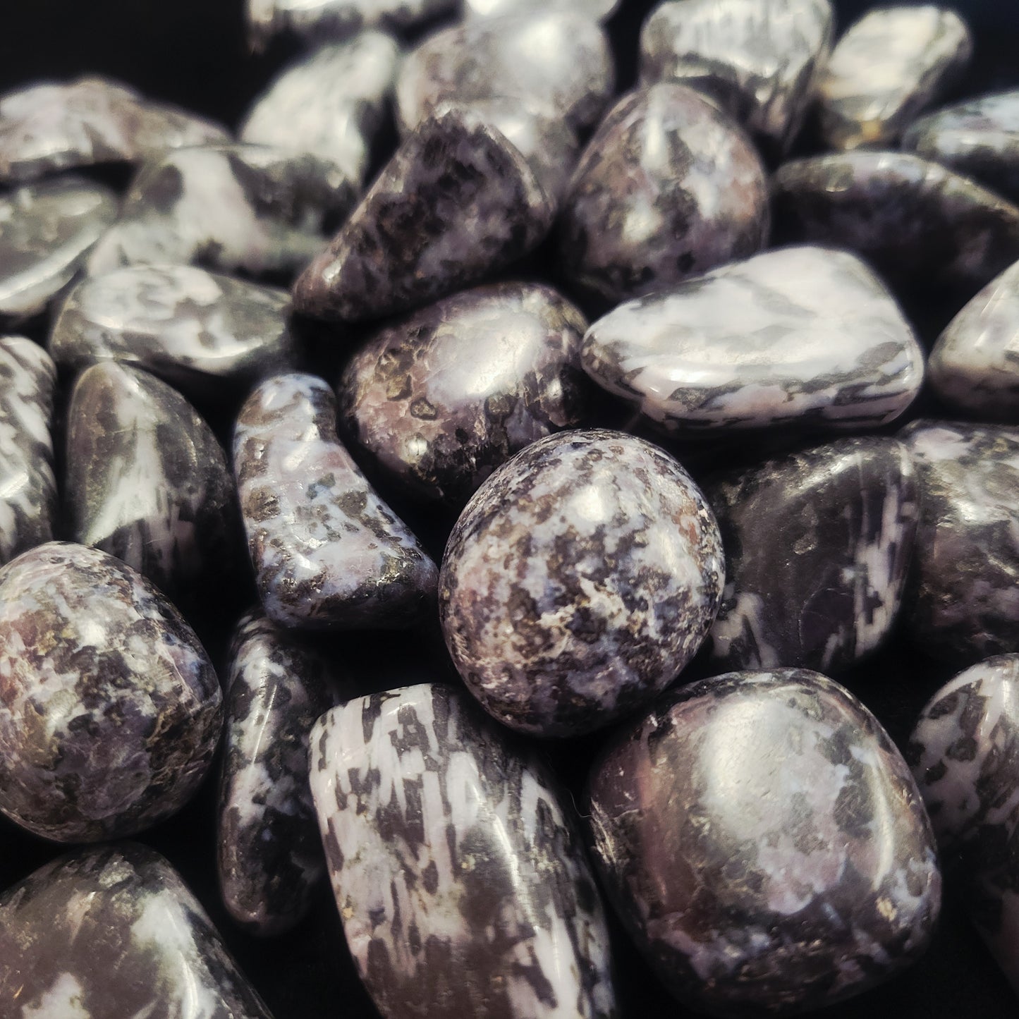 Indigo Gabbro