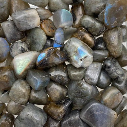 Labradorite, Mini