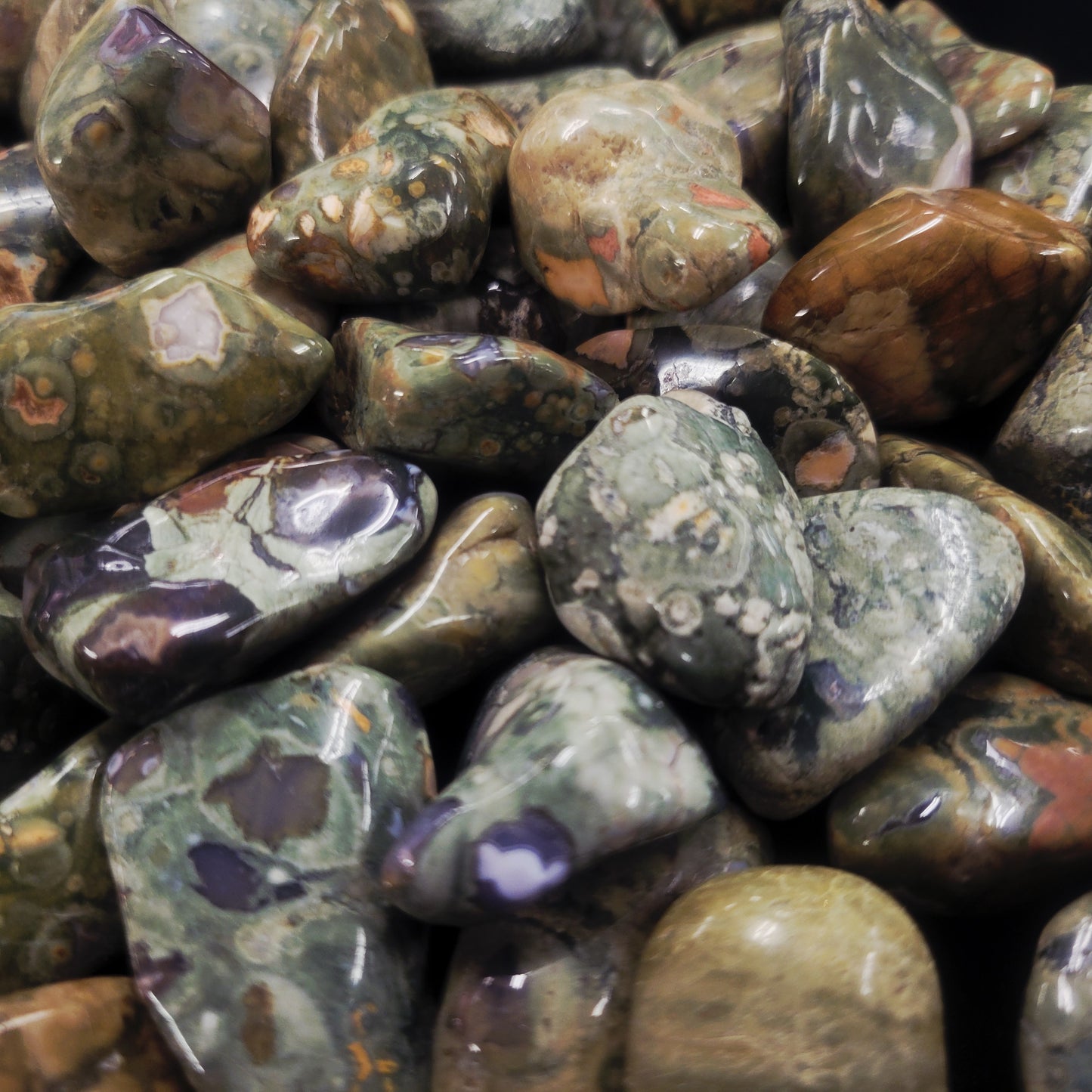 Rainforest Rhyolite