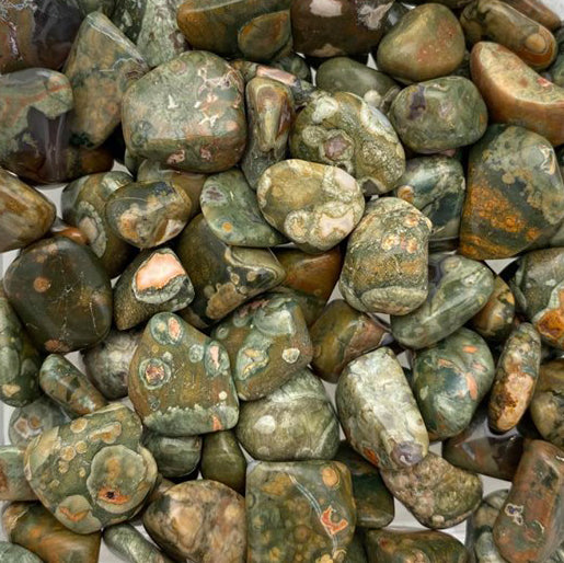 Rainforest Rhyolite, Mini
