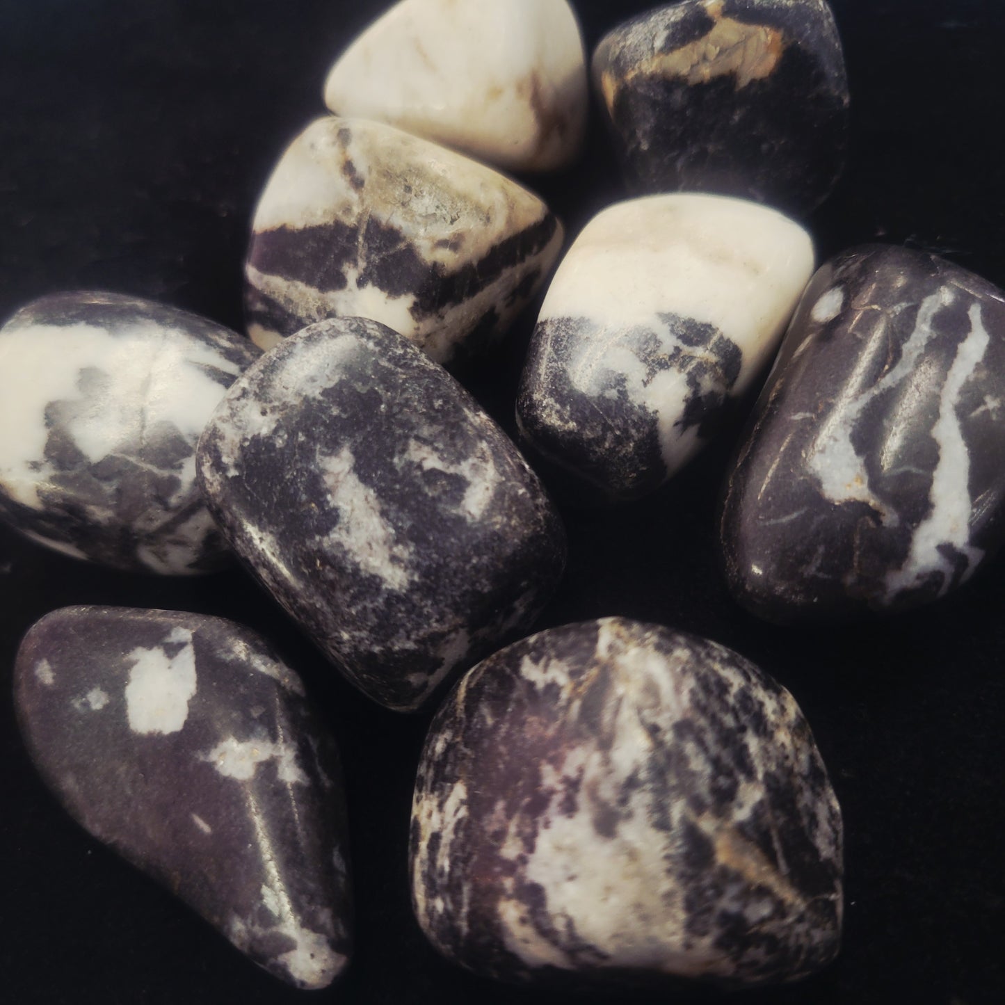 Zebra Jasper
