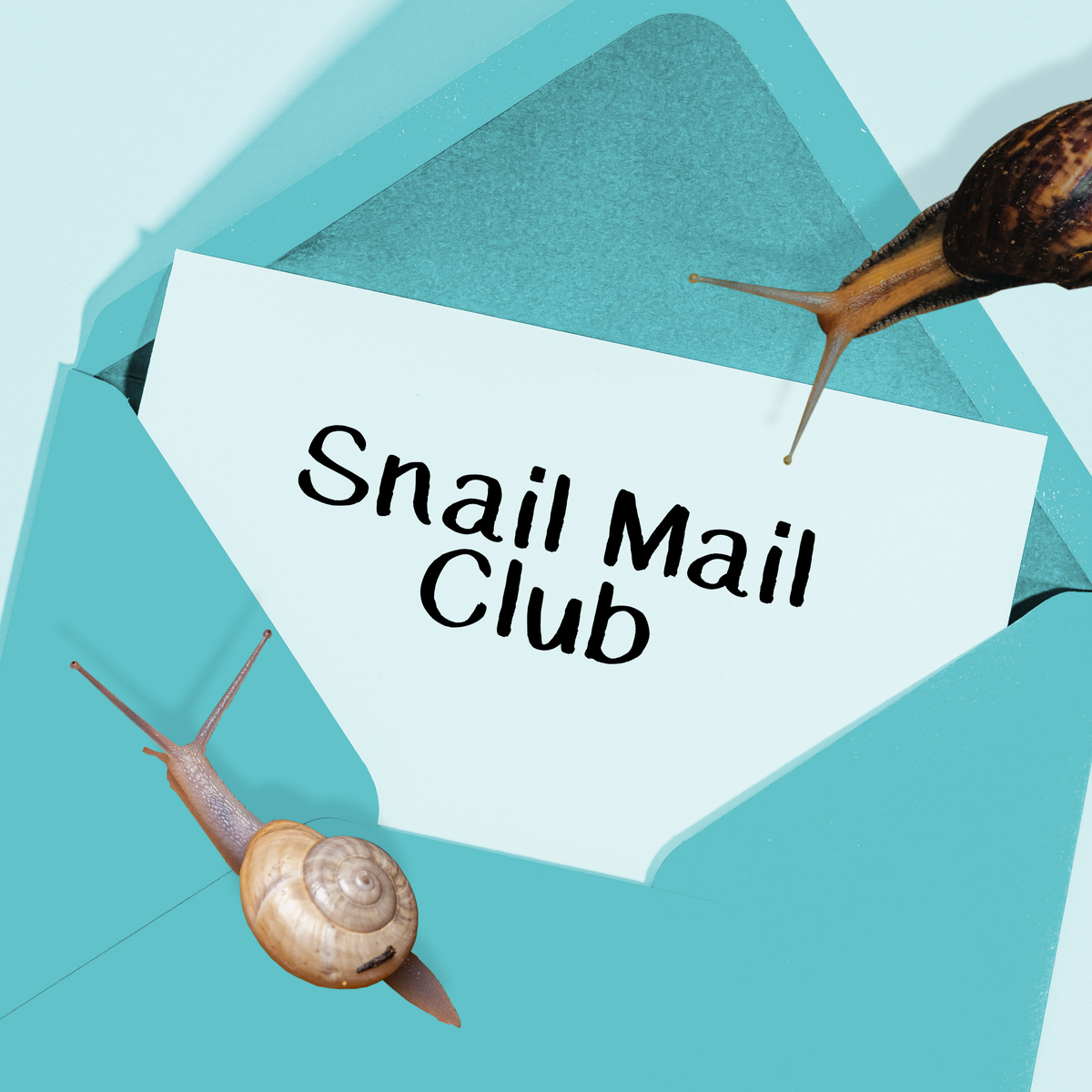 Snail Mail Club (Online Sign-Up)