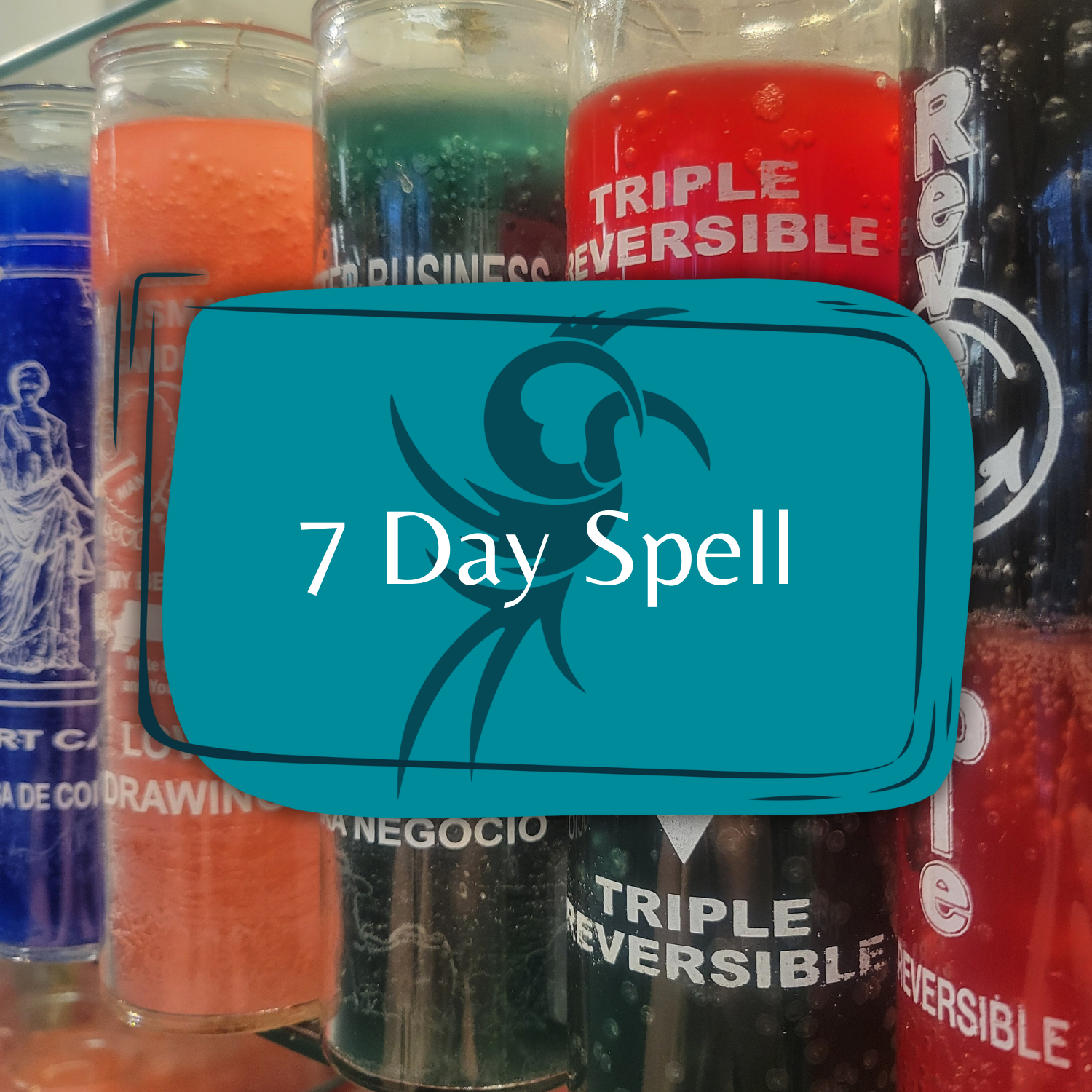 7 Day Spell