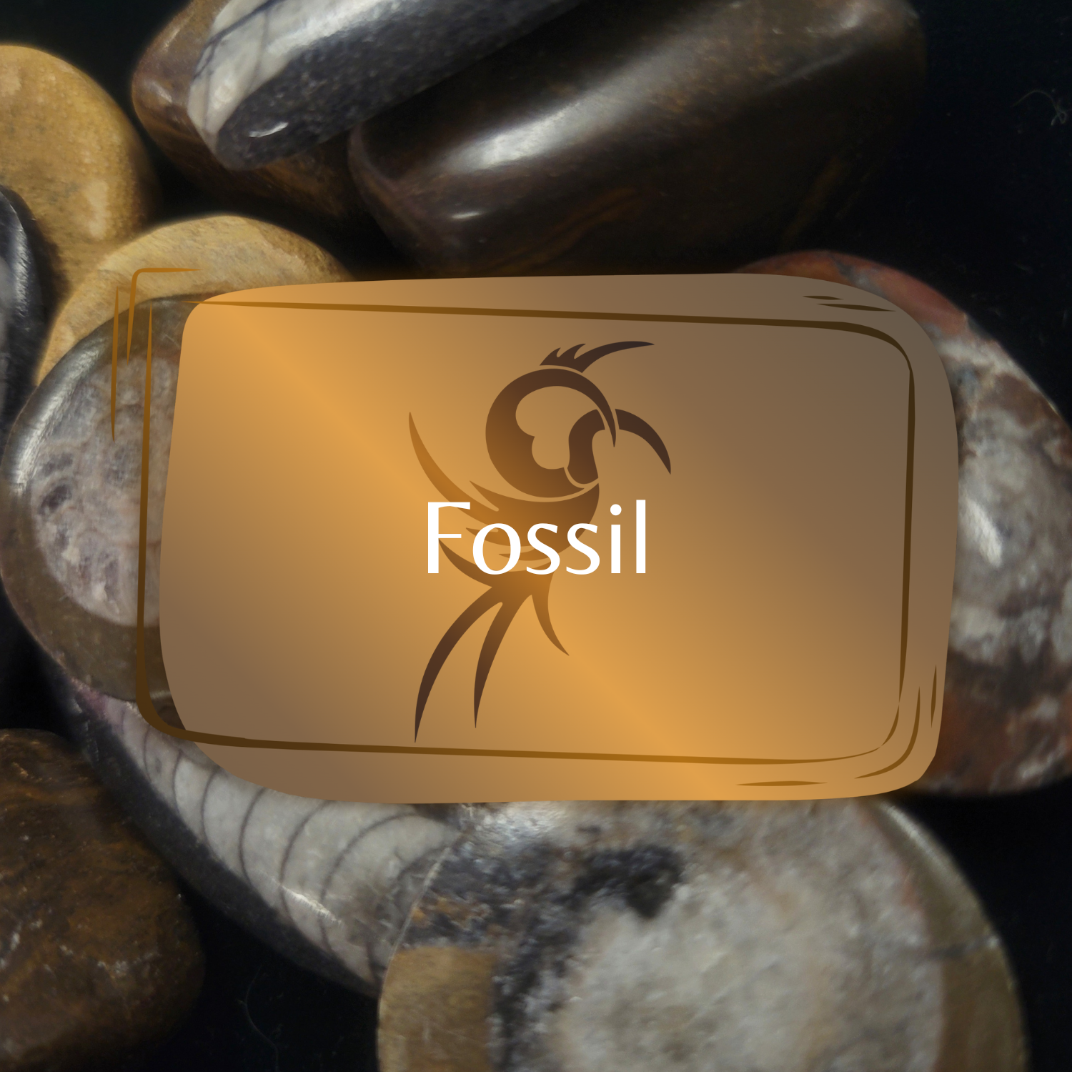 Fossil