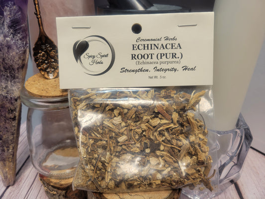 Echinacea Root Cut