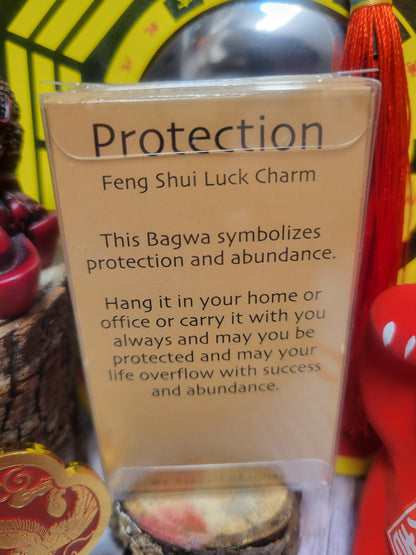 Protection Feng Shui Charm