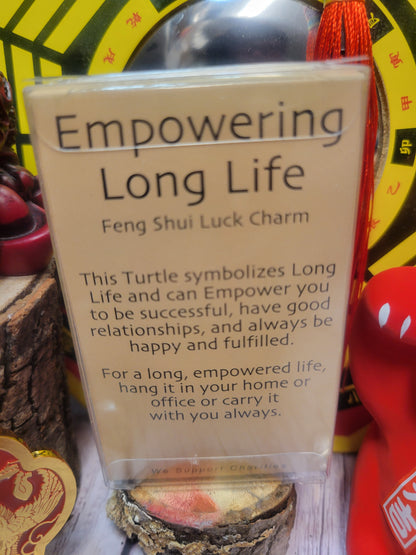 Empowering Life Feng Shui Charm