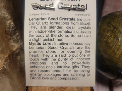 Lemurian Seed Quartz Heaven & Earth Pendant