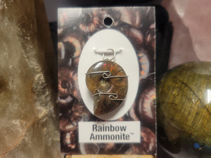 Ammonite Rainbow Heaven & Earth Pendant