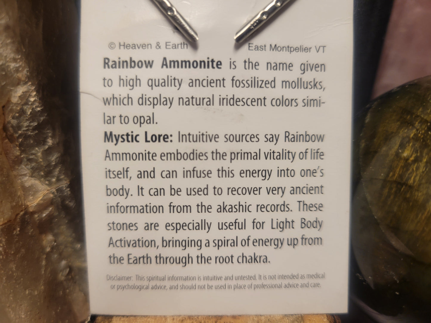 Ammonite Rainbow Heaven & Earth Pendant