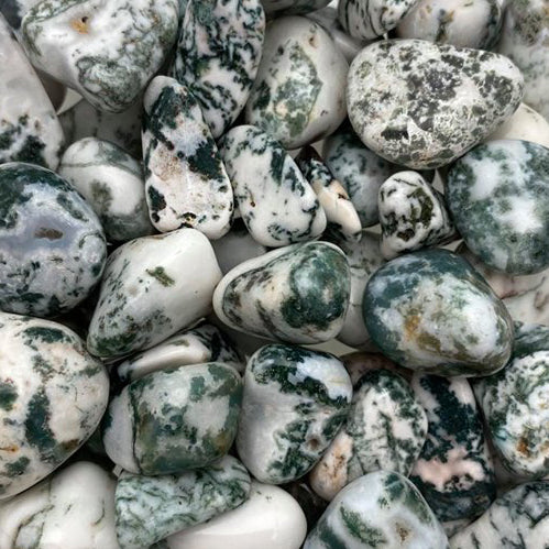 Tree Agate, Small