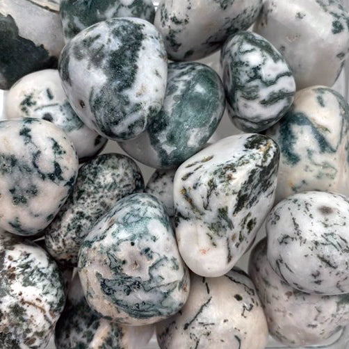 Tree Agate, Medium