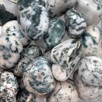 Tree Agate