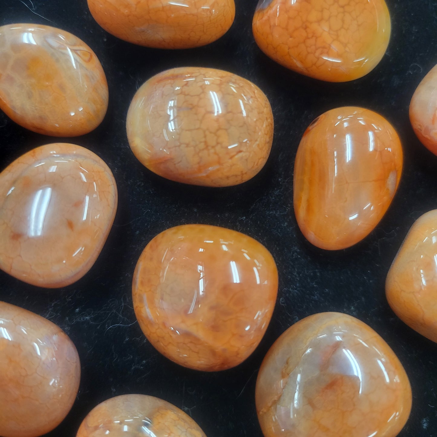 Snakeskin Agate