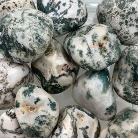 Tree Agate, Large