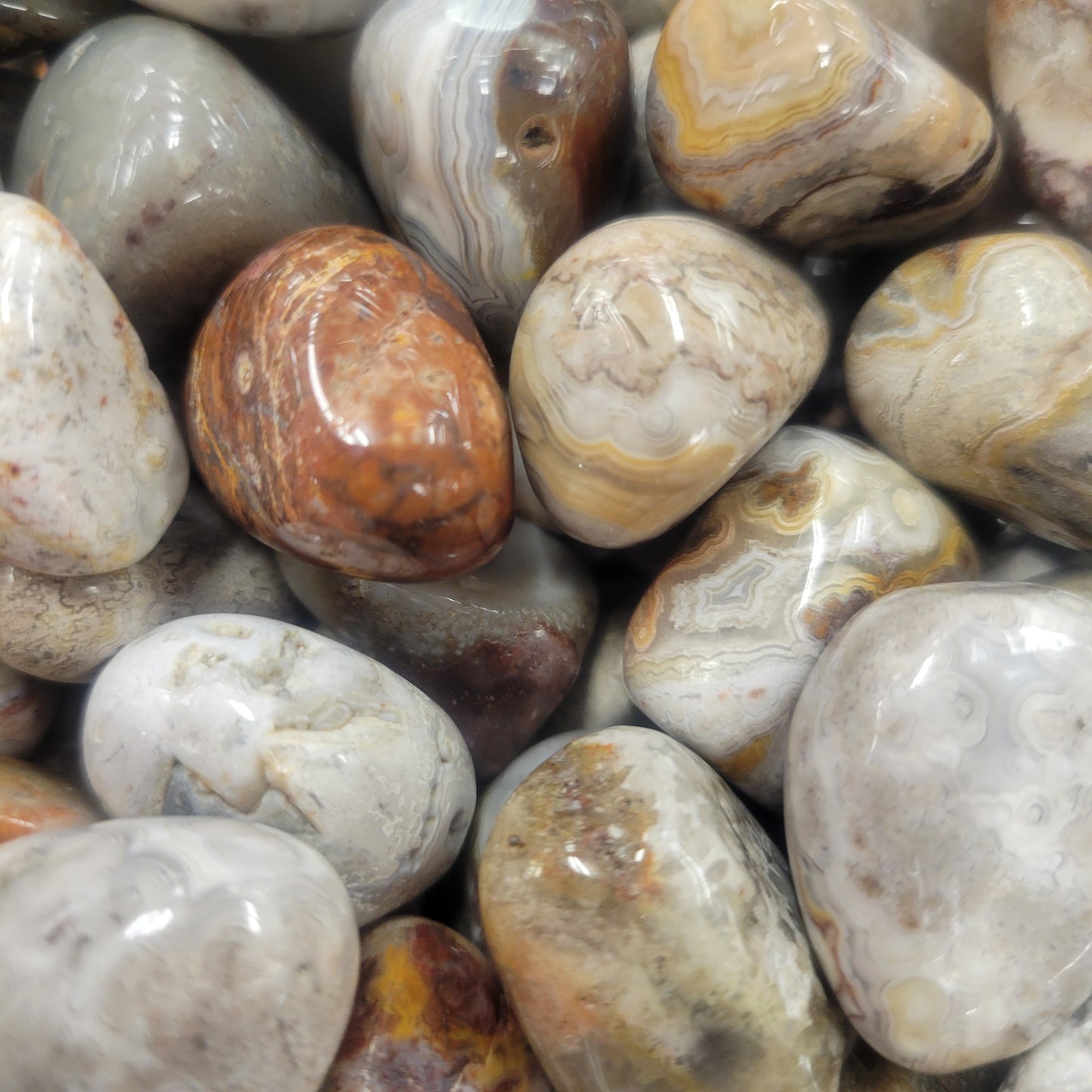 Crazy Lace Agate
