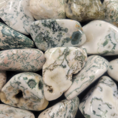 Tree Agate