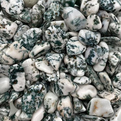 Tree Agate