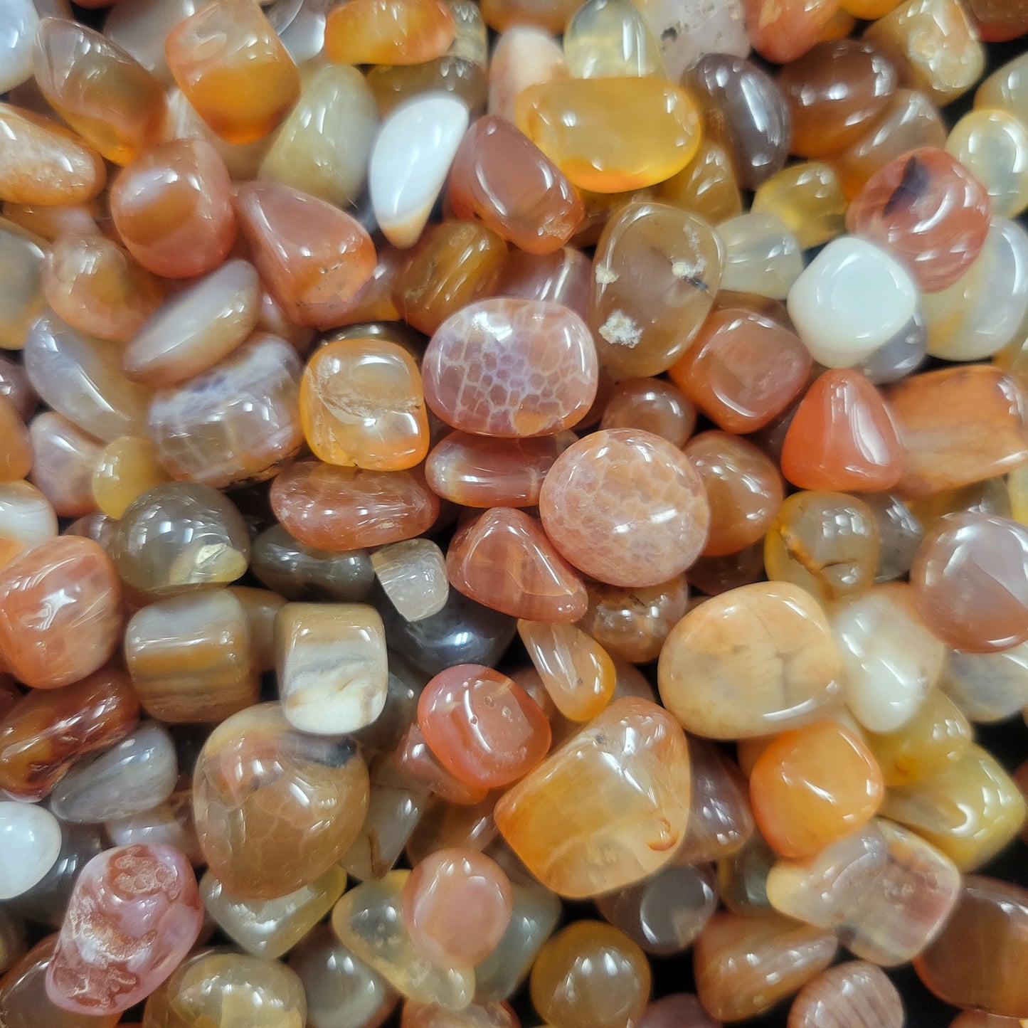 Snakeskin Agate