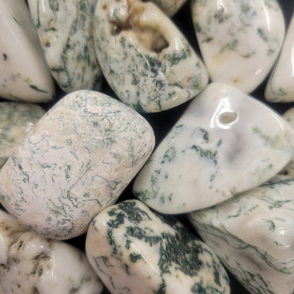 Tree Agate