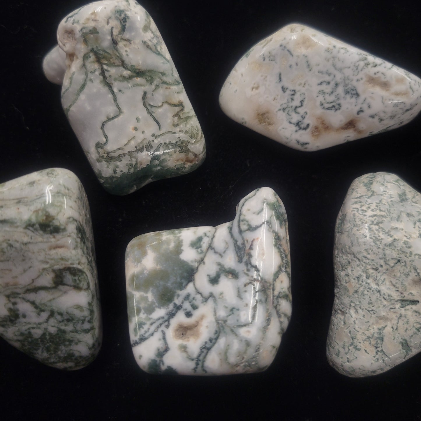 Tree Agate