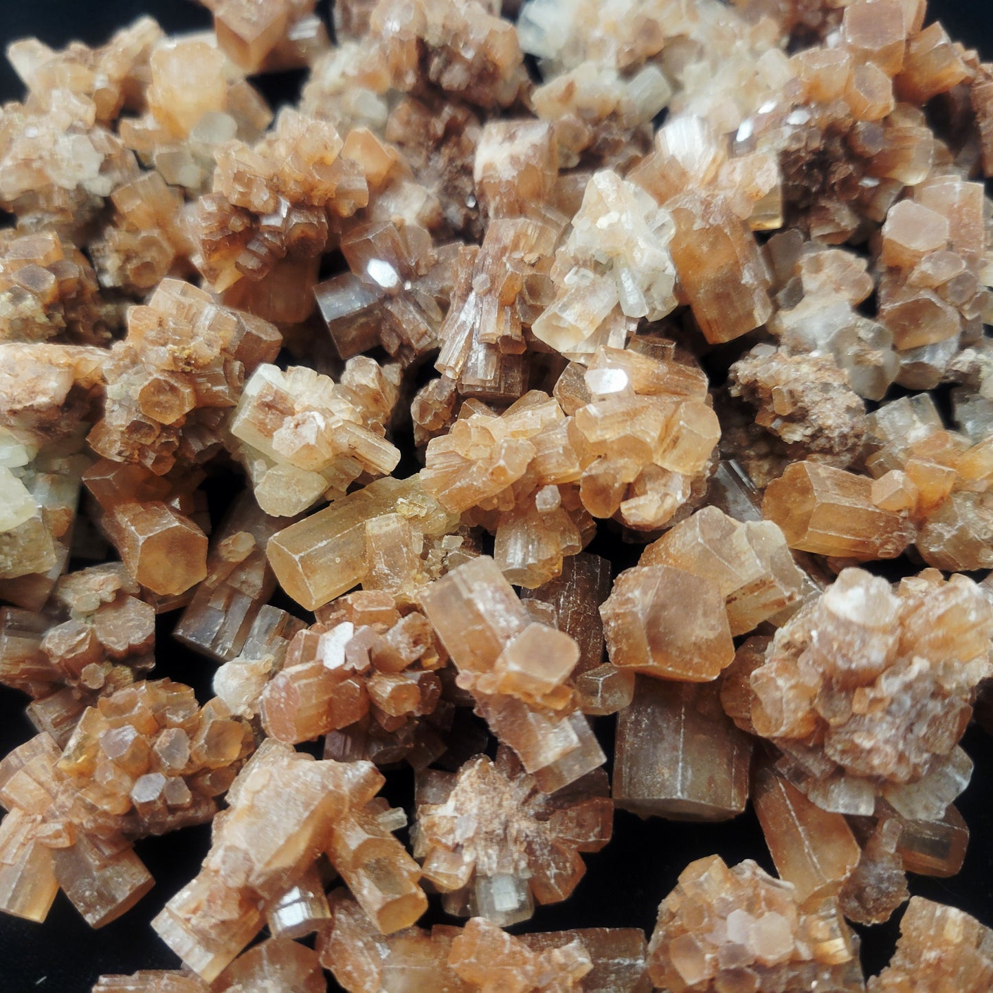 Aragonite Star