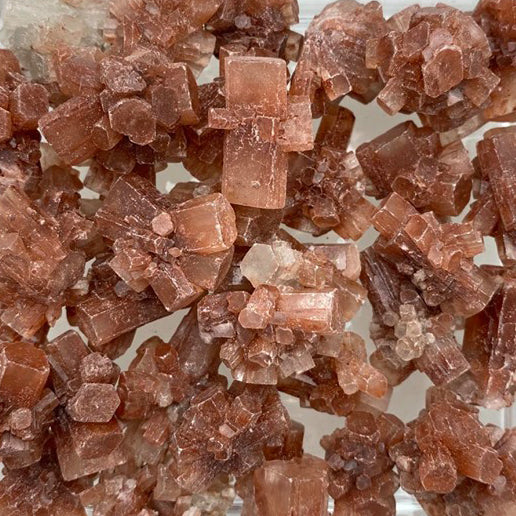 Aragonite Star, Medium