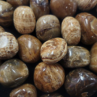 Aragonite