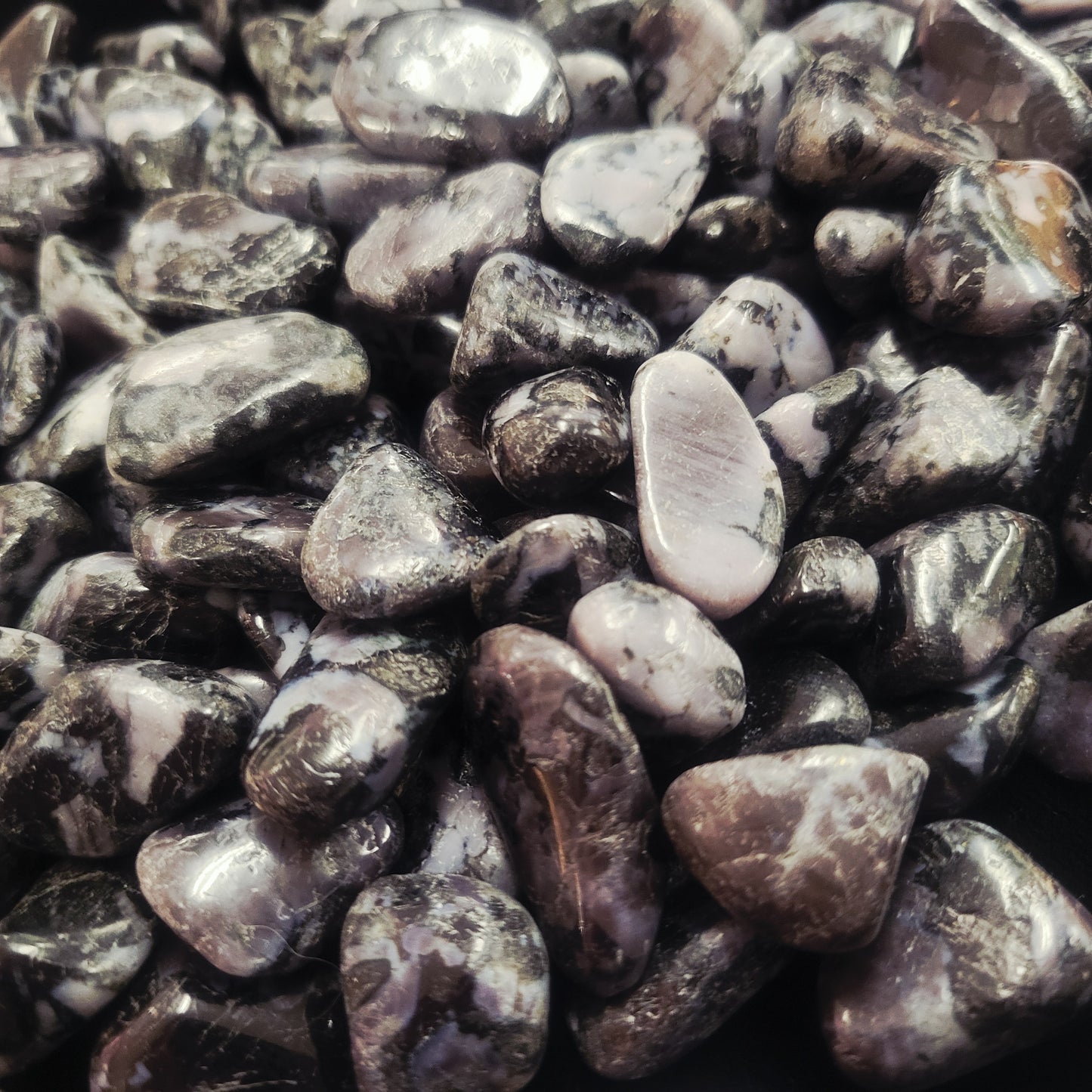 Indigo Gabbro