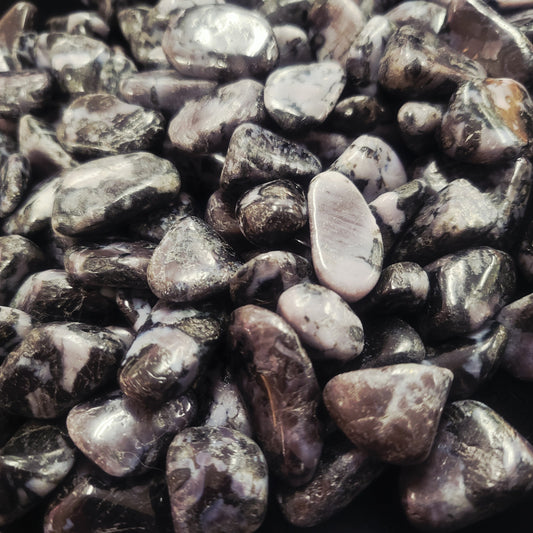 Indigo Gabbro