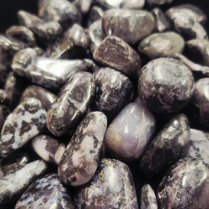 Indigo Gabbro