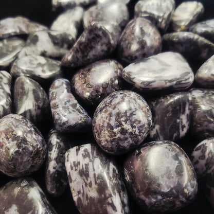 Indigo Gabbro