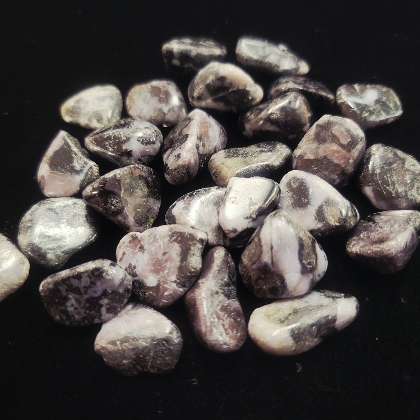Indigo Gabbro