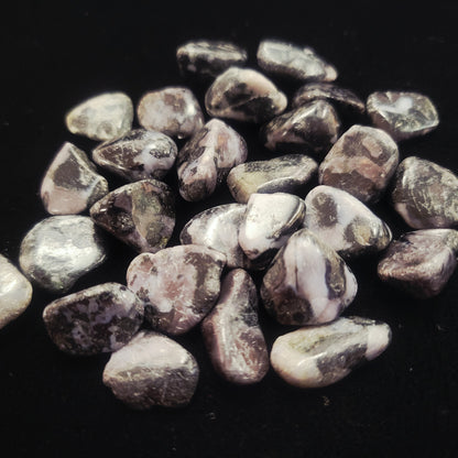 Indigo Gabbro