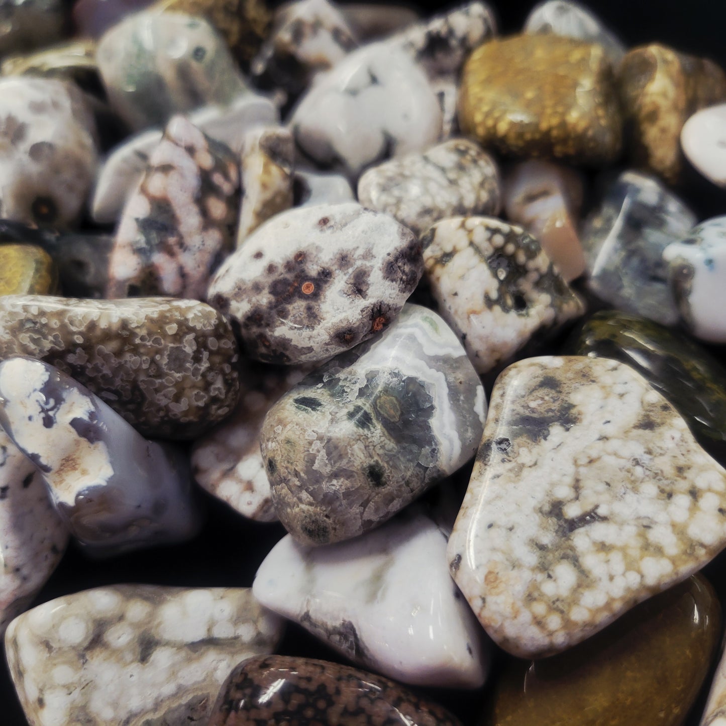 Ocean Jasper