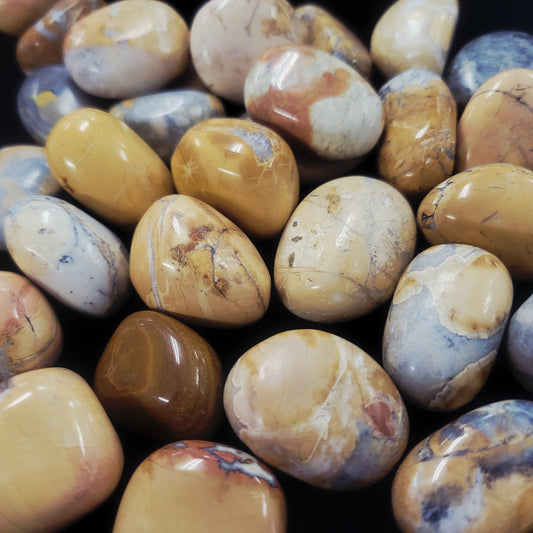 Maligano Jasper