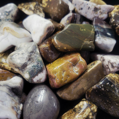 Ocean Jasper
