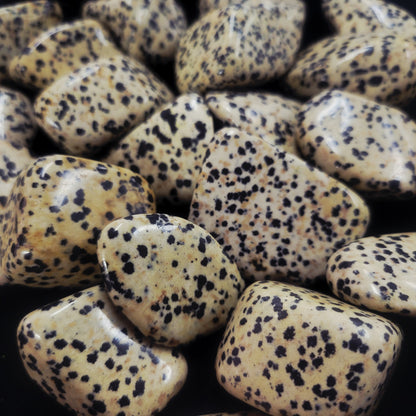 Dalmation Jasper