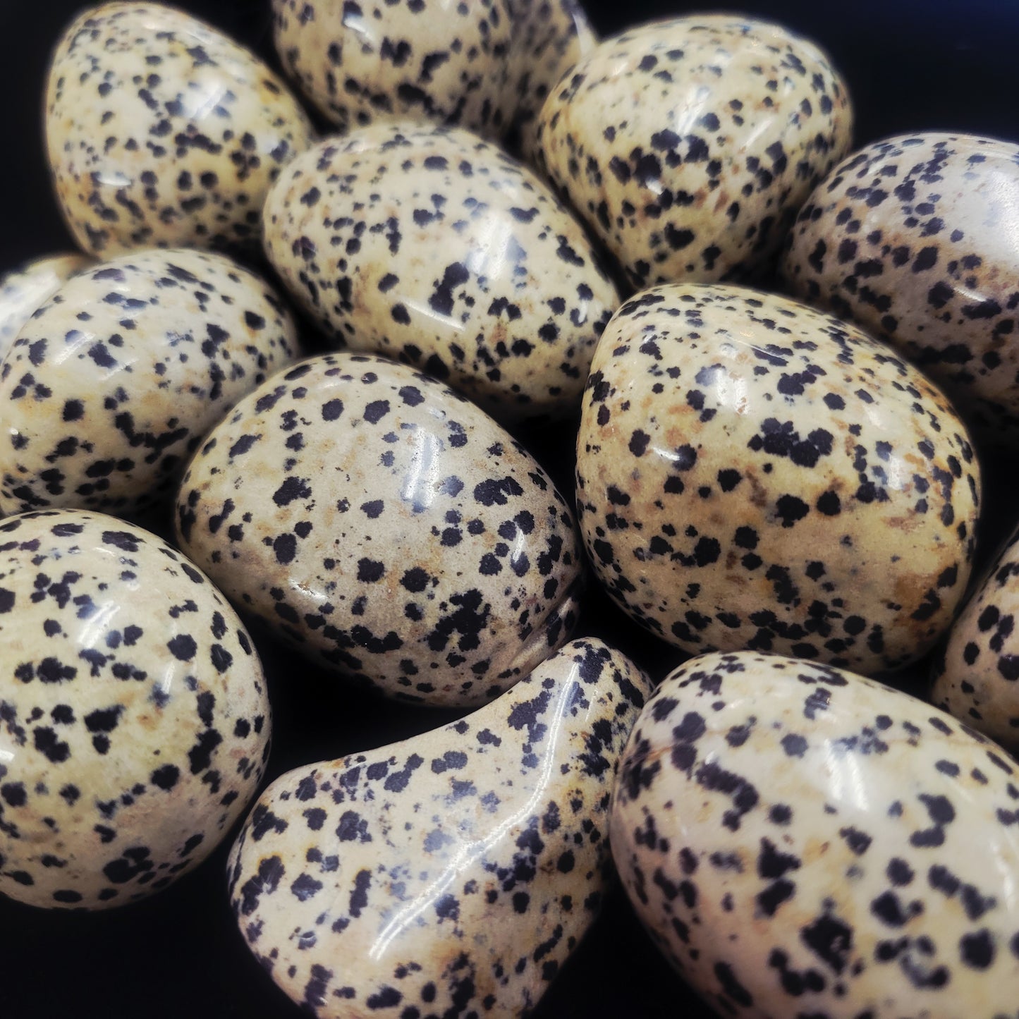 Dalmation Jasper
