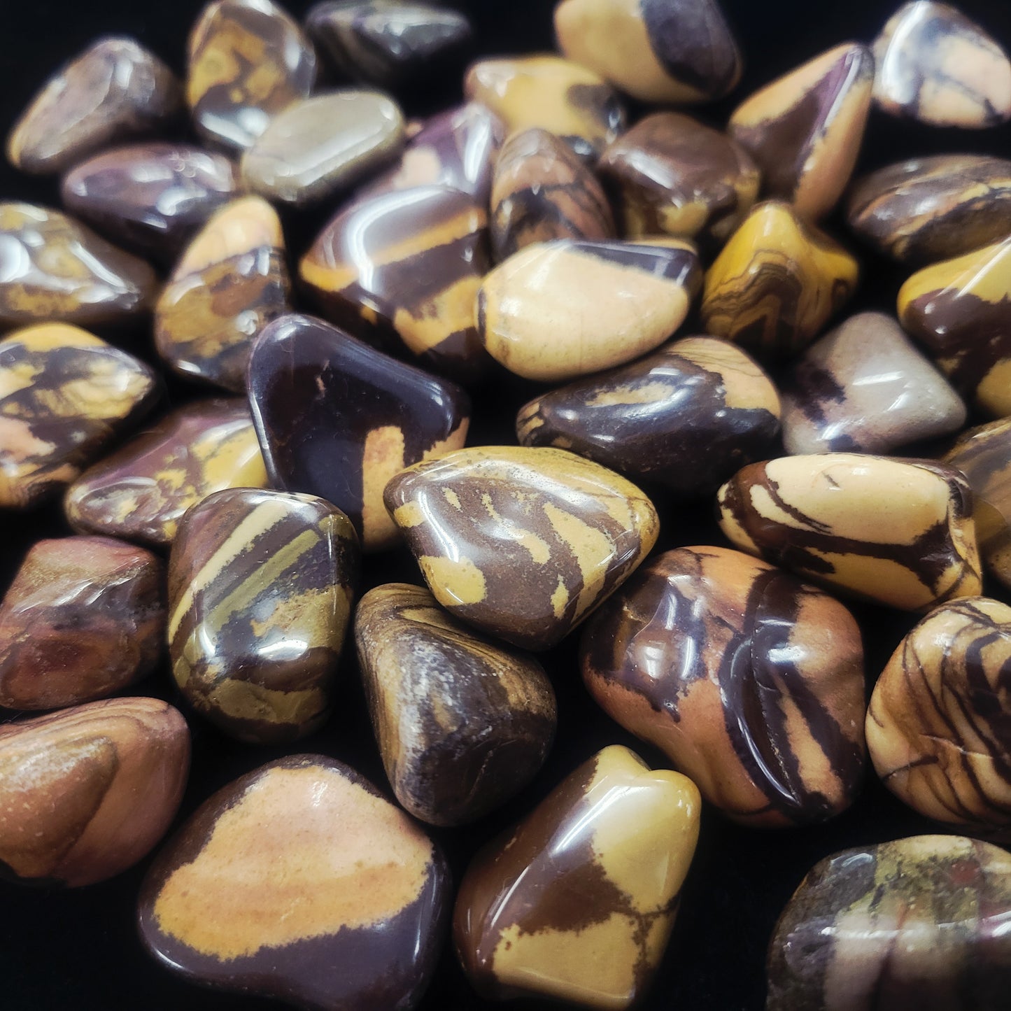 Nguni Jasper
