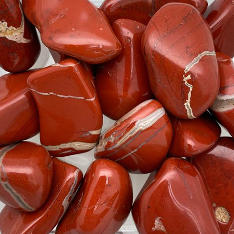 Red Jasper, Large