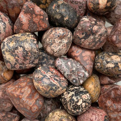 Leopard Jasper