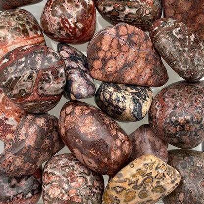 Leopard Jasper