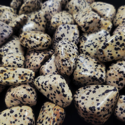 Dalmation Jasper