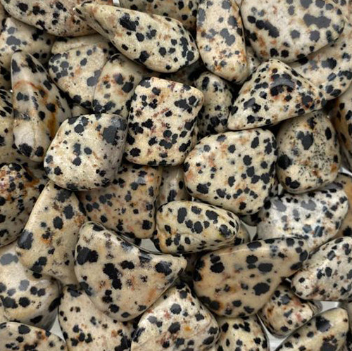 Dalmatian Jasper, Small