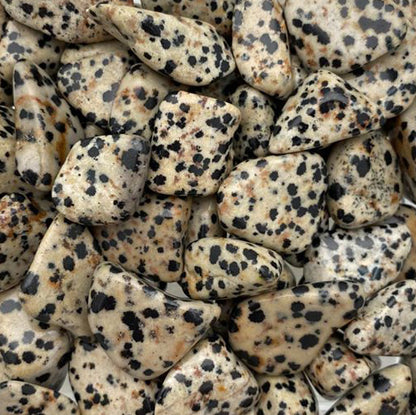 Dalmation Jasper